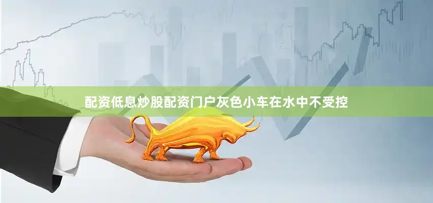 配资低息炒股配资门户灰色小车在水中不受控